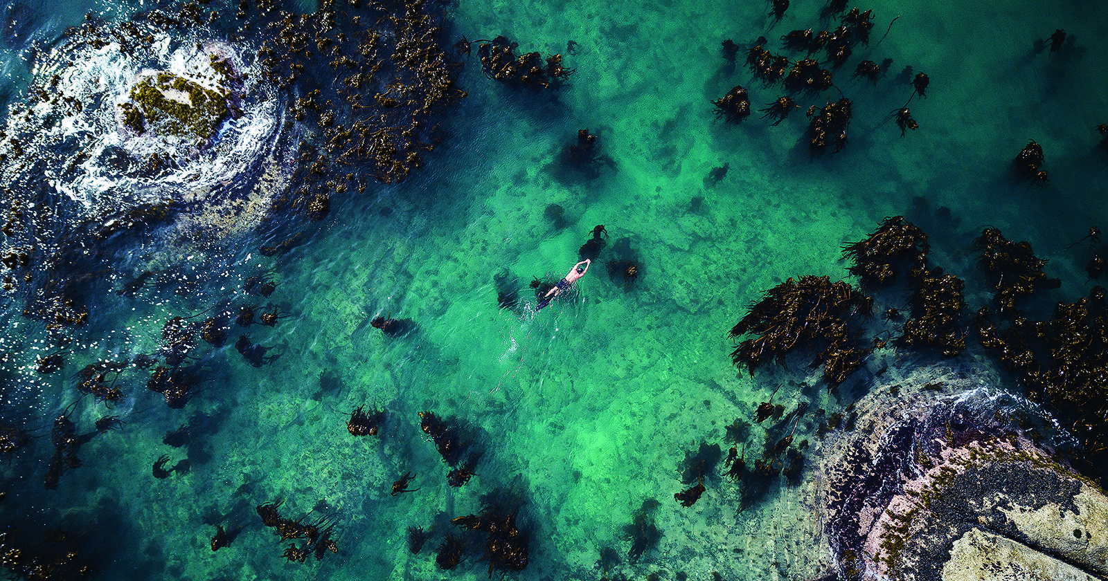 Imagen tomada desde el aire. Craig Foster nadando en el inmenso océano de la costa cercana a Ciudad del Cabo.