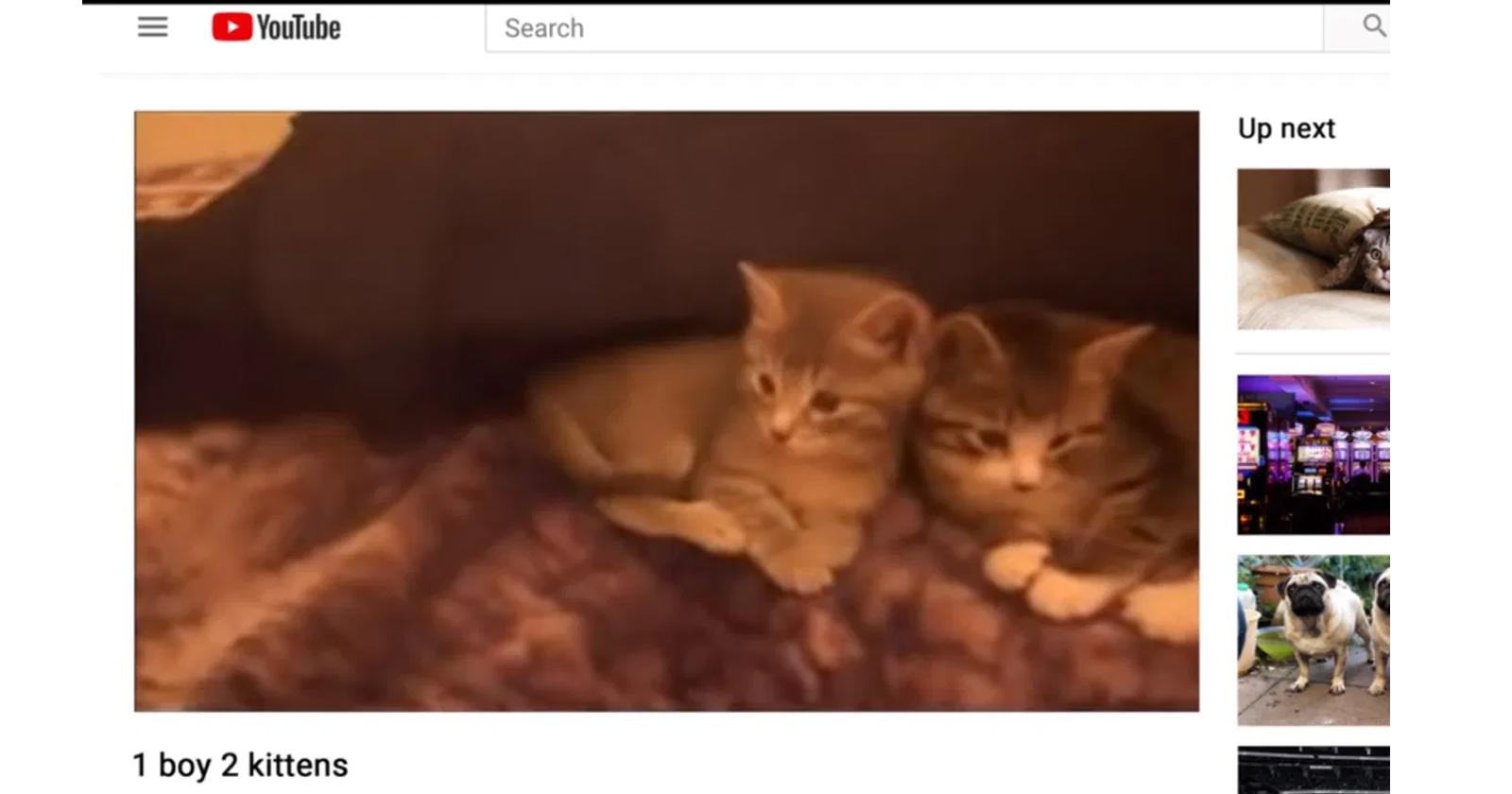 Captura en Youtube de uno de los vídeos subidos por Magnotta: 1 boy 2 kittens.